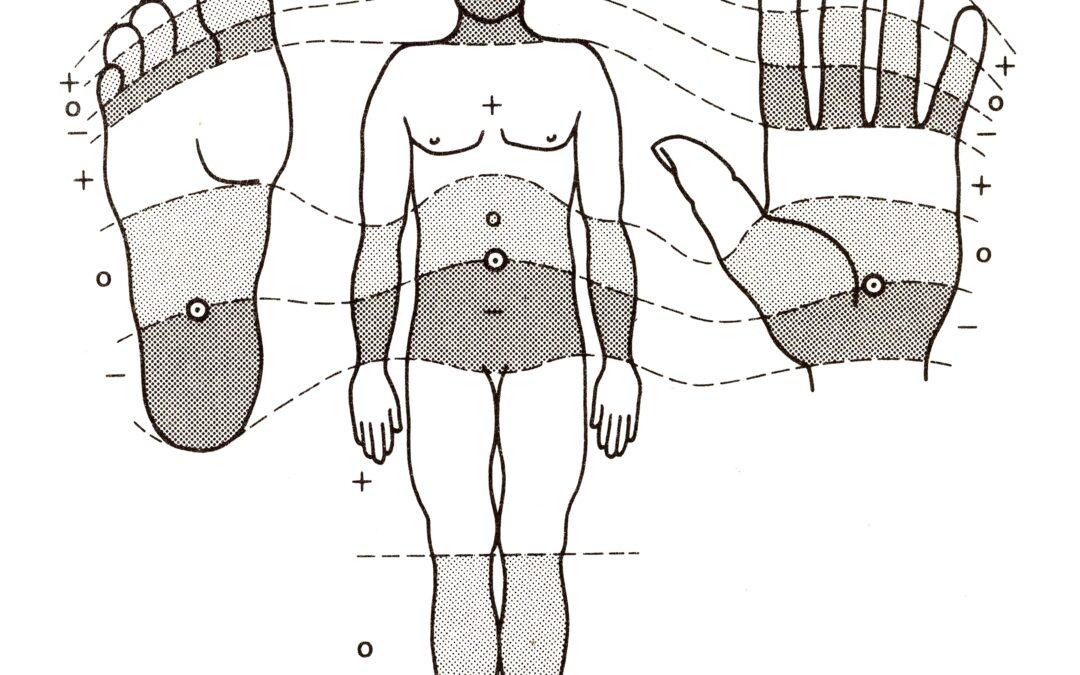 Polarity-Artikel in der Zeitschrift „Forum Kinesiologie“