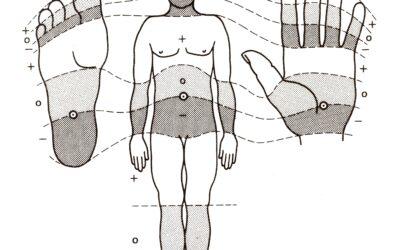 Polarity-Artikel in der Zeitschrift „Forum Kinesiologie“