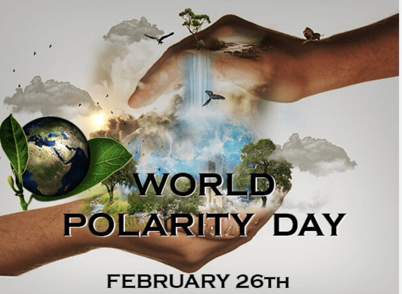 Der World Polarity Day 2025🌍✨